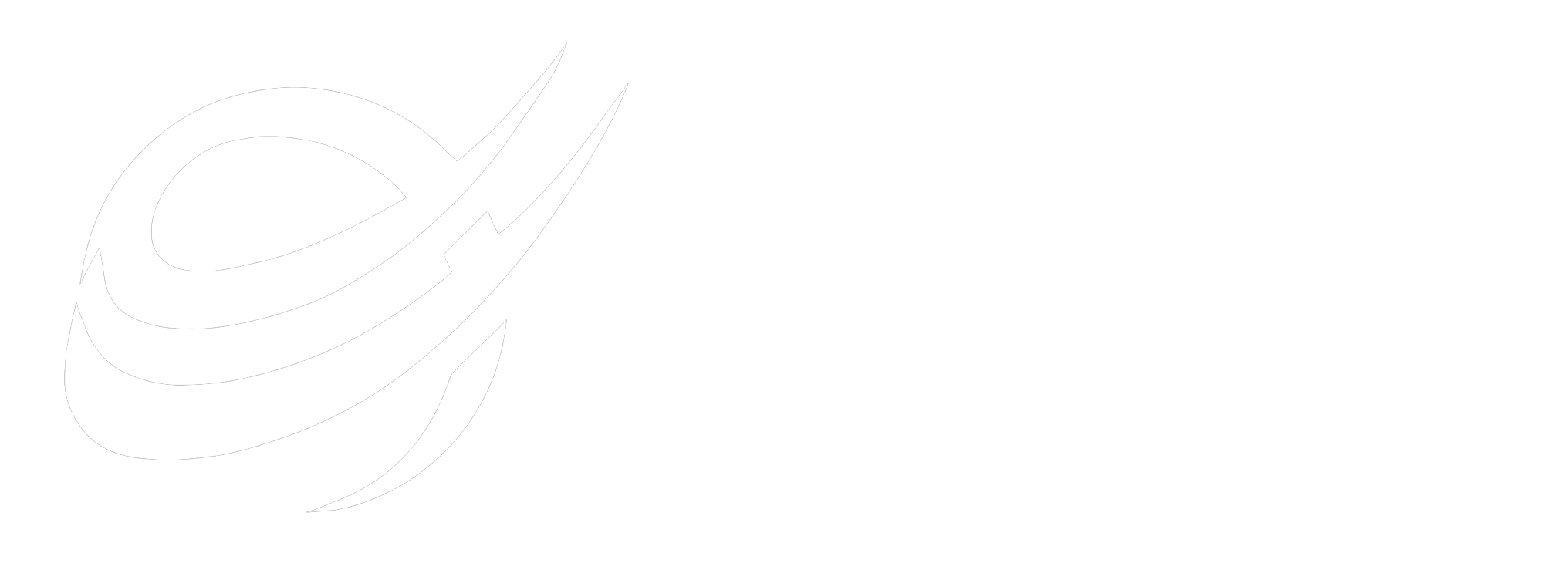 National Security Service LLC