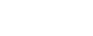 National Security Service LLC
